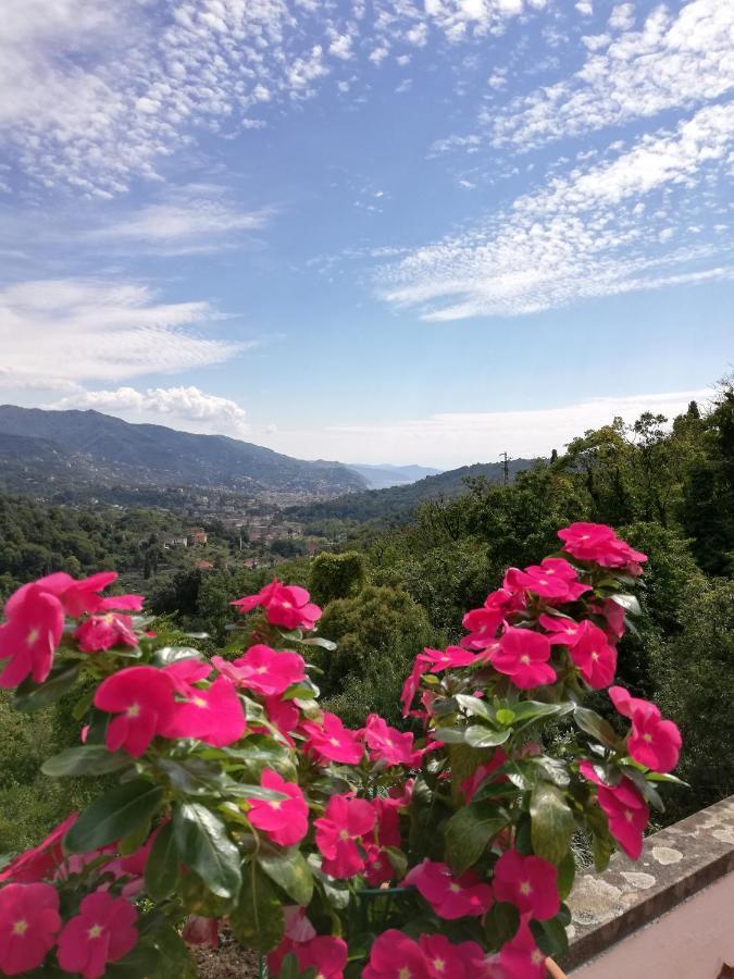 Liguria Mare E Monti Ferienhaus